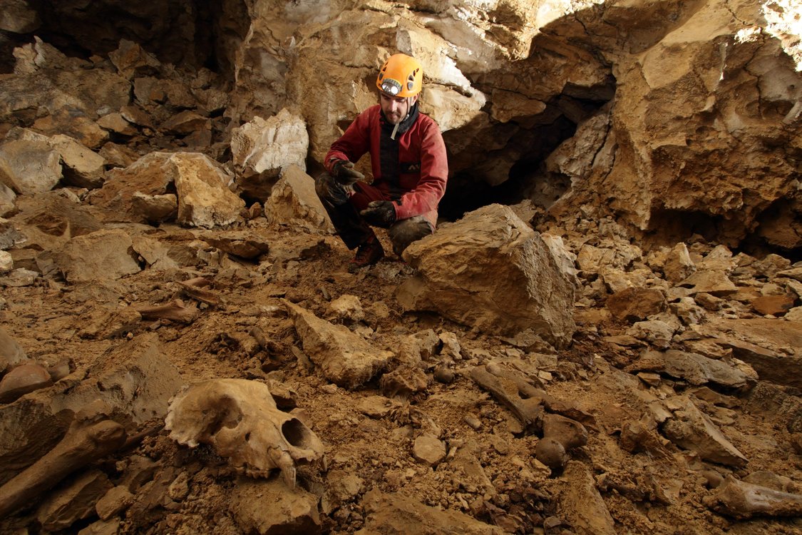 Savoie : comment les scientifiques ont découvert une nouvelle