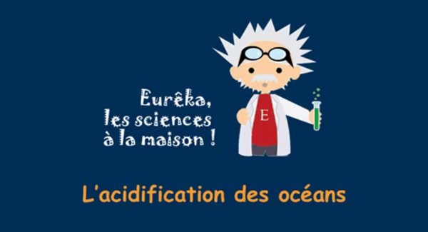 Lg acidification oc ans